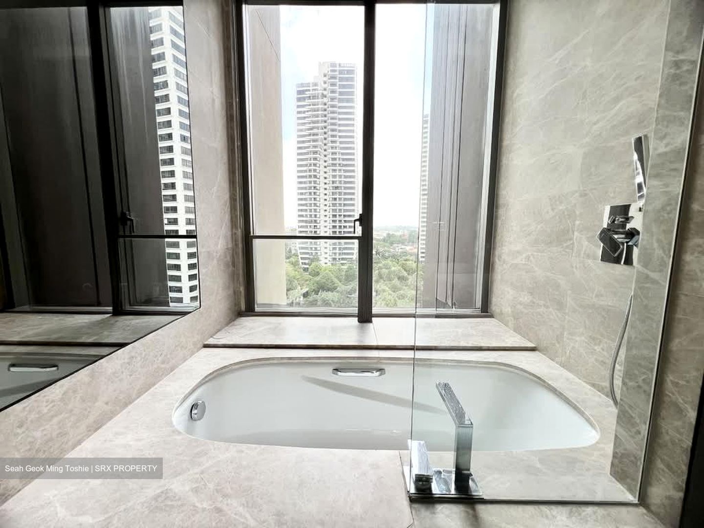 Leedon Residence (D10), Condominium #553866471